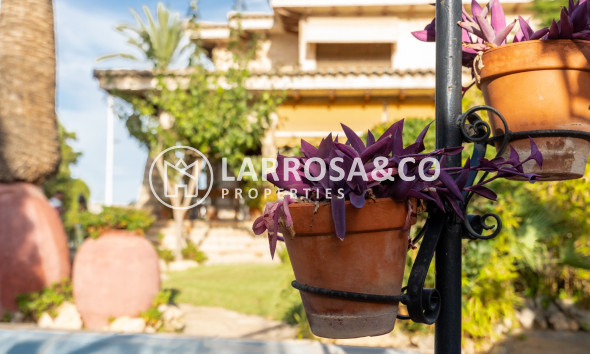 Resale - Detached House/Villa - Alicante - Costa Blanca
