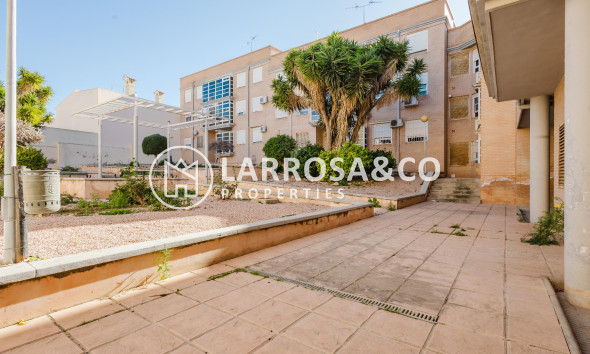 Resale - Apartment - San Miguel de Salinas
