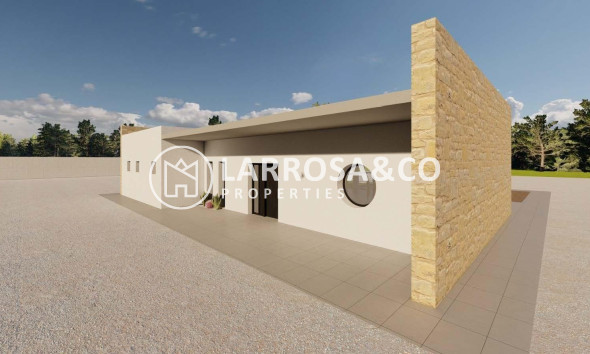 New build - Detached House/Villa - Pinoso - Campo