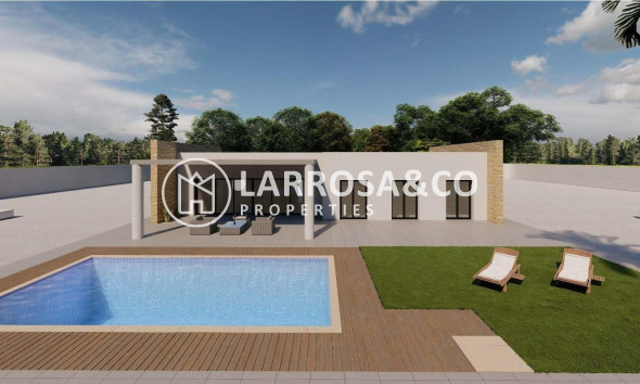 New build - Detached House/Villa - Pinoso - Campo