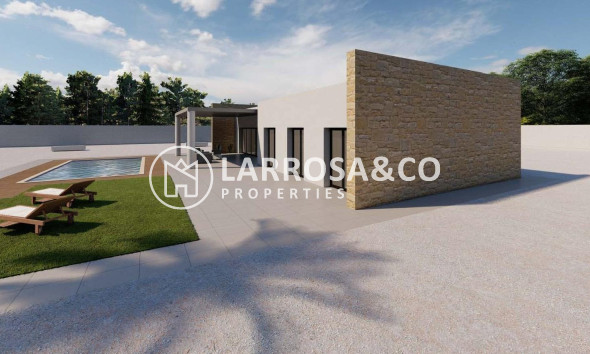 New build - Detached House/Villa - Pinoso - Campo