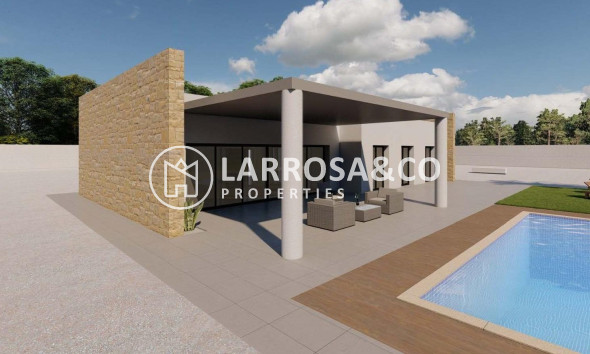 New build - Detached House/Villa - Pinoso - Campo