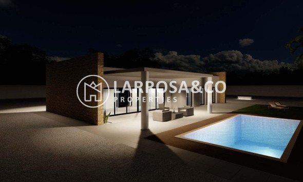 New build - Detached House/Villa - Pinoso - Campo