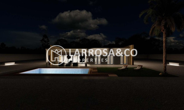 New build - Detached House/Villa - Pinoso - Campo