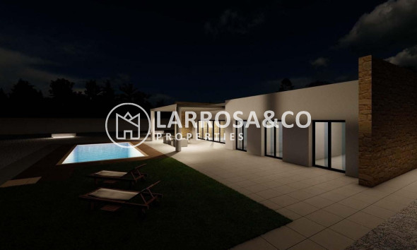 New build - Detached House/Villa - Pinoso - Campo
