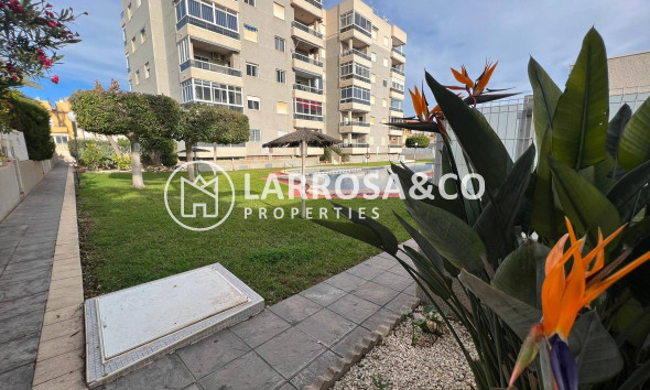 Resale - Apartment - Torrevieja - Aguas Nuevas