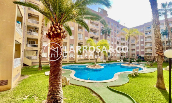 Herverkoop - Apartment - Torrevieja - Centro
