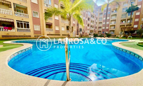 Herverkoop - Apartment - Torrevieja - Centro