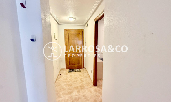 Reventa - Apartamento - Torrevieja - Centro