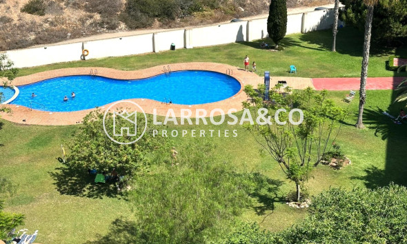 A Vendre - Apartment - Torrevieja - Centro