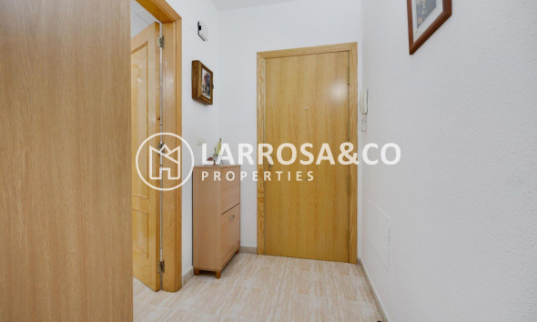 Вторичный рынок - Квартира - Торревьеха - Centro