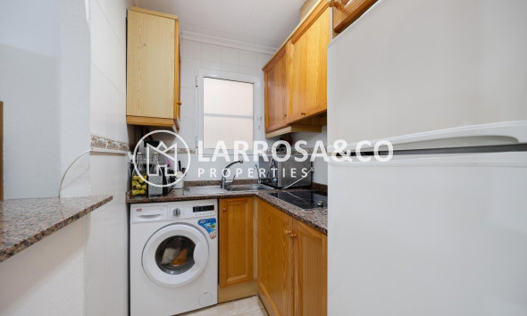 Вторичный рынок - Квартира - Торревьеха - Centro