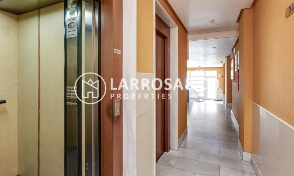 Вторичный рынок - Квартира - Торревьеха - Centro