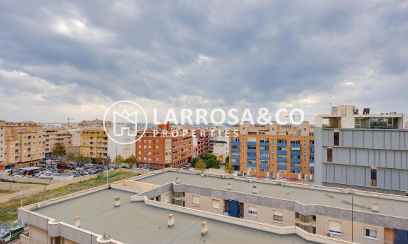 Вторичный рынок - Квартира - Торревьеха - Centro