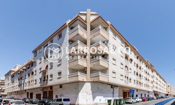 Вторичный рынок - Квартира - Торревьеха - Centro