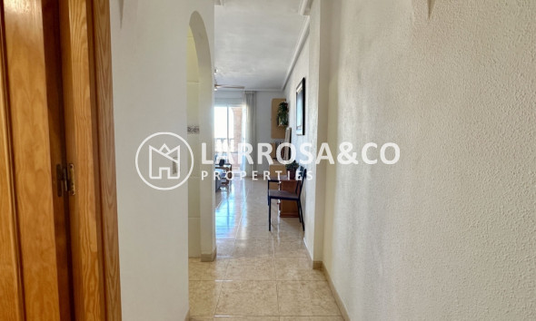 Вторичный рынок - Квартира - Торревьеха - Costa Blanca