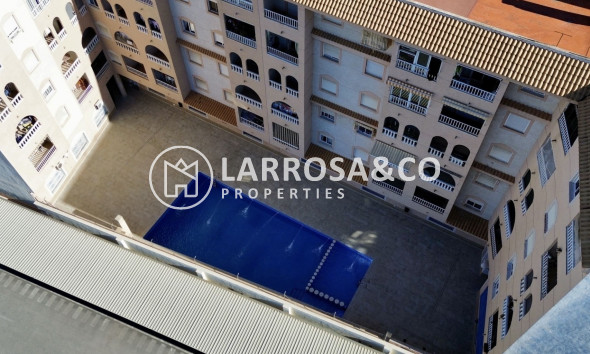 Вторичный рынок - Квартира - Торревьеха - Costa Blanca