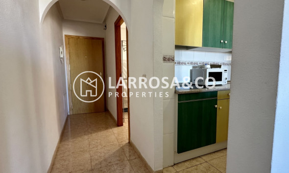 Вторичный рынок - Квартира - Торревьеха - Costa Blanca