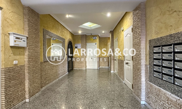 Вторичный рынок - Квартира - Торревьеха - Costa Blanca