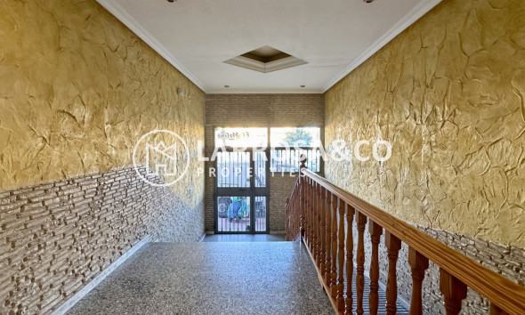 Вторичный рынок - Квартира - Торревьеха - Costa Blanca