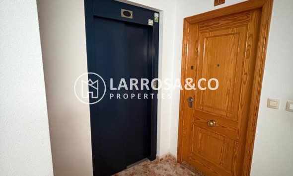 Reventa - Apartamento - Torrevieja - Costa Blanca