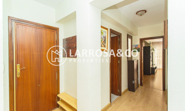 Resale - Apartment - Torrevieja - Centro-Muelle Pesquero