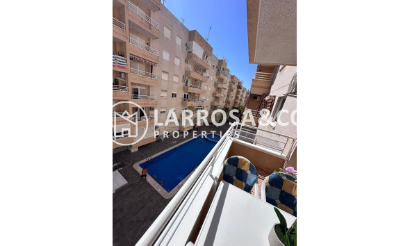 Вторичный рынок - Квартира - Торревьеха - Centro - Muelle Pesquero