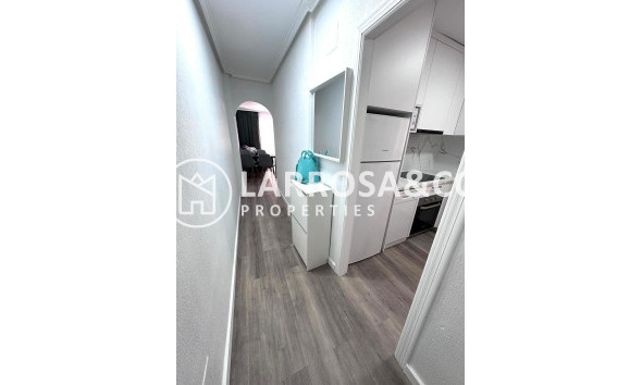 Вторичный рынок - Квартира - Торревьеха - Centro - Muelle Pesquero