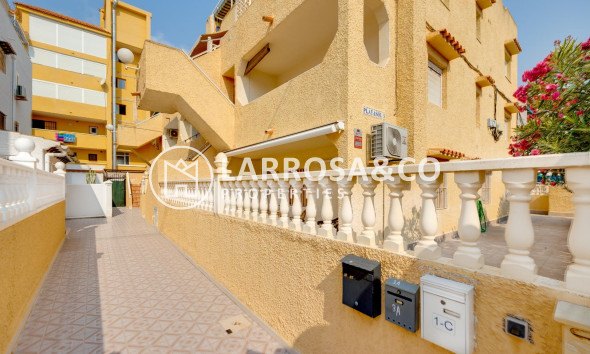 Reventa - Apartamento - Torrevieja - La Mata