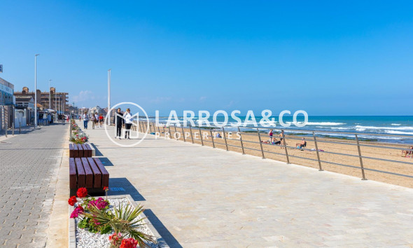 Reventa - Apartamento - Torrevieja - La Mata