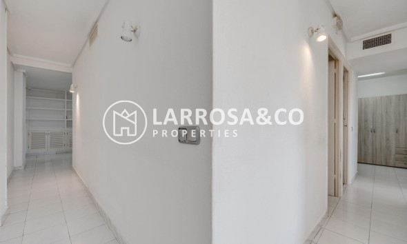 Reventa - Apartamento - Torrevieja - Centro