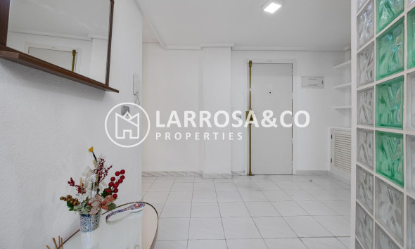 Reventa - Apartamento - Torrevieja - Centro