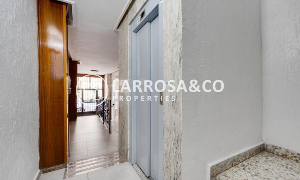 Reventa - Apartamento - Torrevieja - Centro