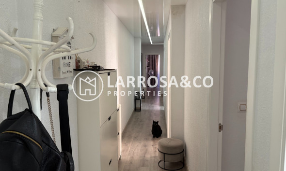 Resale - Apartment - Torrevieja - Costa Blanca