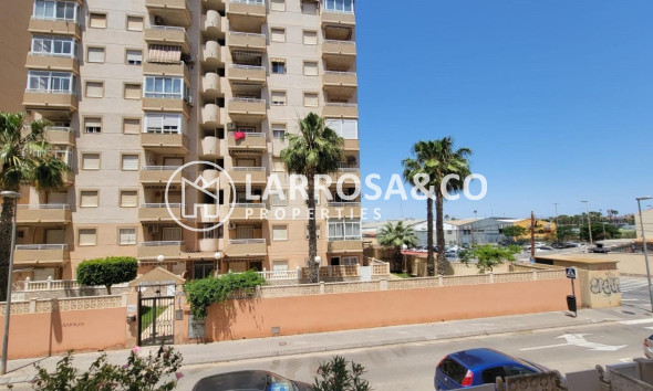 Вторичный рынок - Квартира - Торревьеха - Nueva Torrevieja