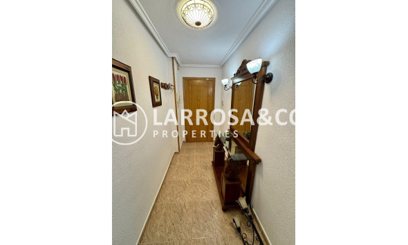 Вторичный рынок - Квартира - Торревьеха - Centro