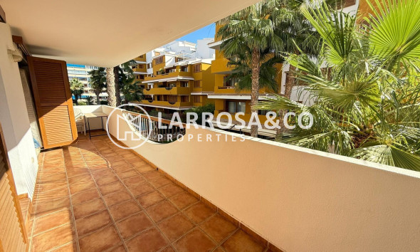 Resale - Apartment - Torrevieja - Punta Prima