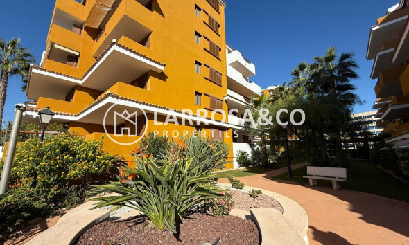 Resale - Apartment - Torrevieja - Punta Prima