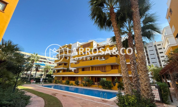 Resale - Apartment - Torrevieja - Punta Prima