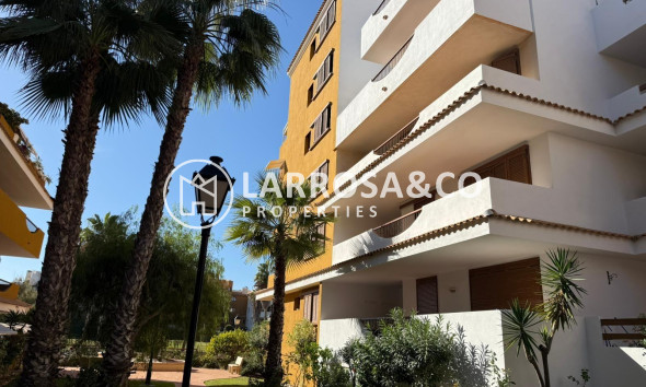 Resale - Apartment - Torrevieja - Punta Prima