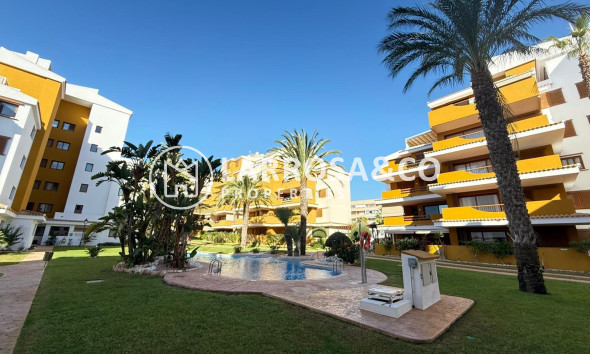 Resale - Apartment - Torrevieja - Punta Prima