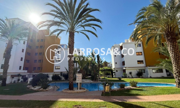Resale - Apartment - Torrevieja - Punta Prima