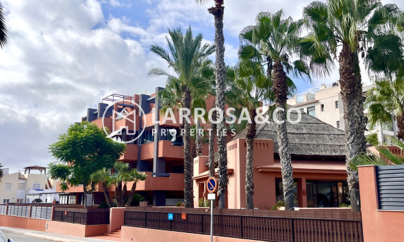 Reventa - Apartamento - Villamartín - Costa Blanca