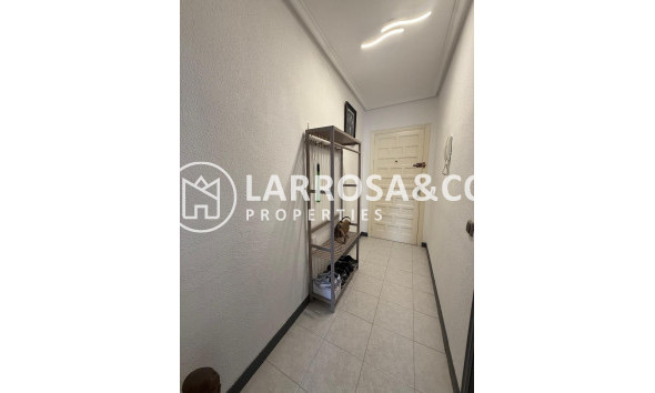 Reventa - Apartamento - Torrevieja - Parque de las Naciones