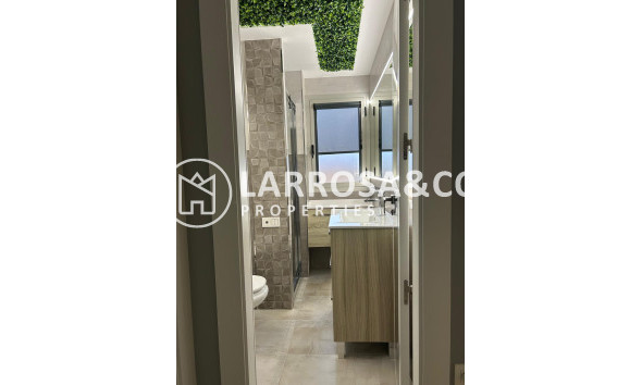 Вторичный рынок - Квартира - Торревьеха - Nueva Torrevieja