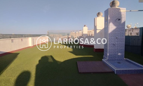 Reventa - Apartamento - Torrevieja - El molino