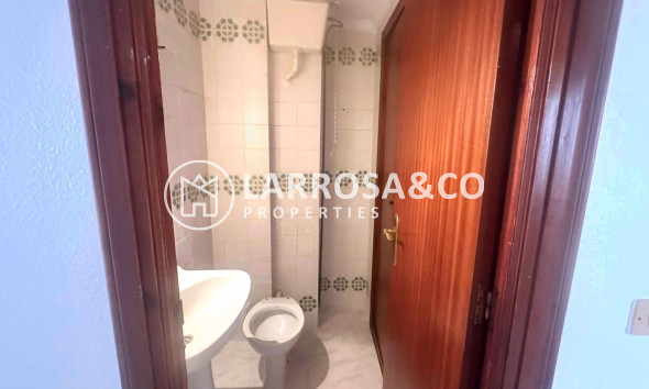 Вторичный рынок - Квартира - Торревьеха - Estacion de autobuses