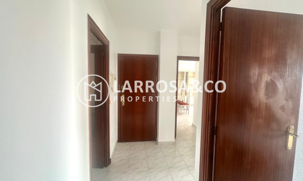 Вторичный рынок - Квартира - Торревьеха - Estacion de autobuses