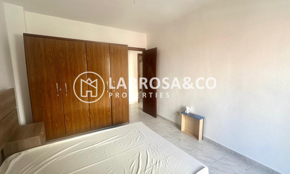 Вторичный рынок - Квартира - Торревьеха - Estacion de autobuses