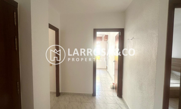 Вторичный рынок - Квартира - Торревьеха - Estacion de autobuses